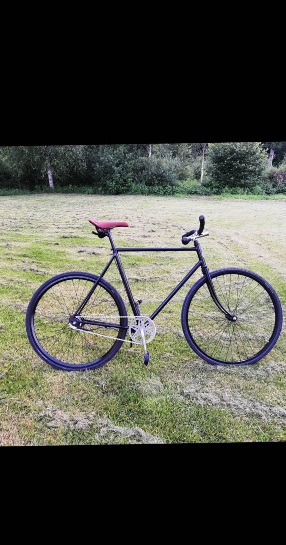 S ljes DBS Cruiser Custom Happyride se S ljes DBS Cruiser Custom Happyride se