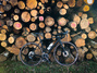 Canyon Endurace CF SL 8.0 DISC (reserverad) Racercykel / Landsväg säljes