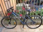 Stadscykle Övriga säljes