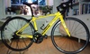 Bianchi Intenso, ram 44 cm, kolfibercykel. Racercykel / Landsväg säljes