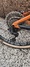 Santa Cruz Tallboy 3 CC Large Mountainbike säljes