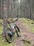 Lapierre Zezty AM 5.9 L  Mountainbike säljes