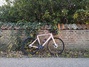 Specialized tarmac expert sl7, strl56 Racercykel / Landsväg säljes