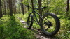 Felt DD70 fatbike Mountainbike säljes