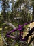 Trek Remedy 9.8  27.5" Mountainbike säljes