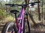 Orbea Occam 2020 OMR (kolfiber), large, lös ram Ramar säljes