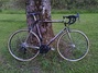 Colnago Master Olympic med 12-delad Chorus Racercykel / Landsväg säljes
