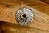KASSETT: Shimano 105 CS-R7100 12s Komponenter säljes