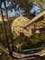 Orbea Oiz Mountainbike säljes