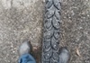 28 tums vinterdäck Schwalbe Winter nytt och Hakkapelitta W106 Däck säljes