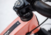Rocky Mountain Altitude carbon Mountainbike säljes