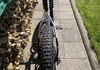 Fatbike white  Övriga säljes