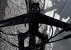 Potentiell snabb Vasacykel Mountainbike säljes