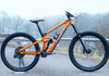 Trek Slash 9.8 GX Gen 5 Mountainbike säljes