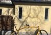 Ginkgo cargobike Övriga säljes
