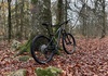 Orbea laufey h30 Mountainbike säljes