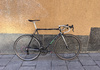 Colnago Superissimo stål / Chris King, Nitto, Record / Size ca. 55-56 ish / Rat Bike Premium Racercykel / Landsväg säljes