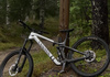 Canyon Strive CFR Underdog 2023 Large  Mountainbike säljes