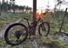 GT Sensor Carbon L 2024 custom-bygge Mountainbike säljes