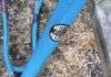 Specialized p2 ram Ramar säljes