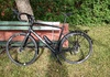 Allebike, MB31, Bramley