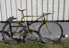 DBS Fixed Gear