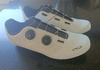 EKOI Perf CARBON storlek 46