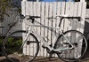 Bianchi Via Nirone 7 Dama