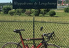 Carrera Erakle med Campagnolo Super Record Racercykel / Landsväg säljes