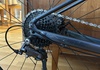 Gravel- Specialized Diverge E5 stl52 Cross / Gravel säljes