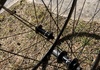 Shimano r500, 28” fälgbroms Hjul säljes
