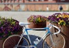 Visom stålräser  Racercykel / Landsväg säljes