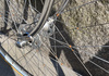 Peugeot PX10 – Reynolds 531 – Simplex &amp; Stronglight Components Racercykel / Landsväg säljes