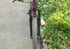 Rockrider XC900 Kolfiber Hardtail Mountainbike säljes