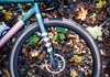 Specialized Crux Expert (Strlk 54) Cross / Gravel säljes