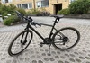 Crescent Pico 2020, 16 vxl, Grön Matt