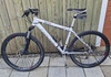 Focus Black Raider, 2008
