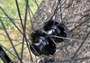 Fraktfritt: MTB Boost Hjulpar Hope Pro4-nav Hjul säljes