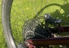Specialized Status Mountainbike säljes