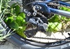 Cannondale Cujo 24+ Race Barncykel säljes