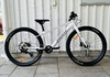 26” White mtb