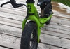 Frog Tadpole Mini 10" Barncykel säljes