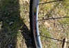 Singlespeed Specialized langster Steel 2011 Hybrid / Standard säljes