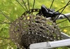 Orbea Laufey H-LTD – trail hardtail med Fox 34 &amp; XT bak raceface fram – mycket fin storlek L Mountainbike säljes