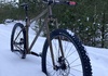 Raw Marino singlespeed stl L Mountainbike säljes