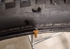 Maxxis minion dhr Däck säljes