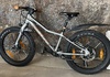 Scott roxter 20 