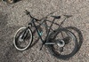 Bianchi XL/XXL RAM 29”