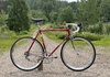 Viner Racercykel / Landsväg säljes