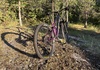 Trek fuel ex 8 - 2020 Mountainbike säljes
